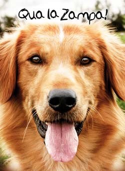 locandina A Dog's Purpose - Qua la zampa!